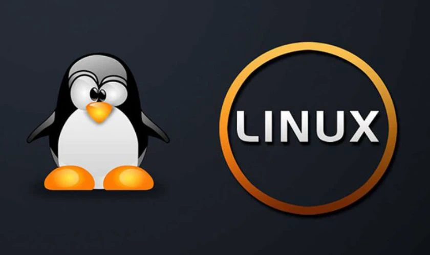 Linux là hệ điều hành miễn phí rất được ưa chuộng