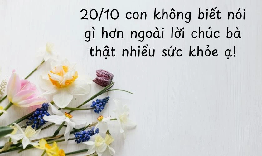 Hình ảnh 20/10 ý nghĩa tặng bà
