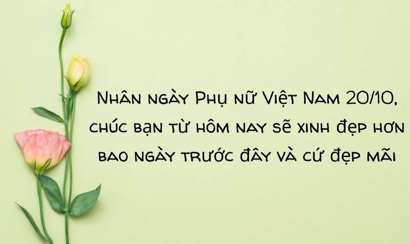 Hình ảnh 20/10 tặng bạn bè, đồng nghiệp