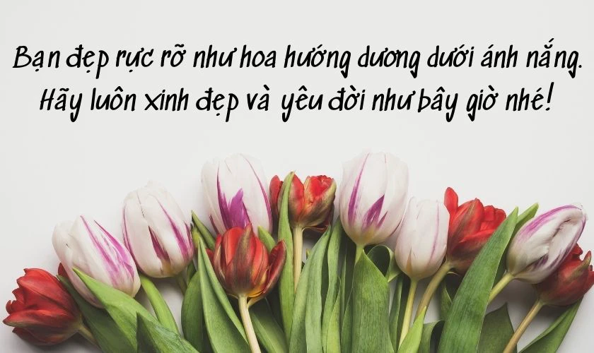 Ảnh ý nghĩa tặng đồng nghiệp ngày Phụ nữ Việt Nam