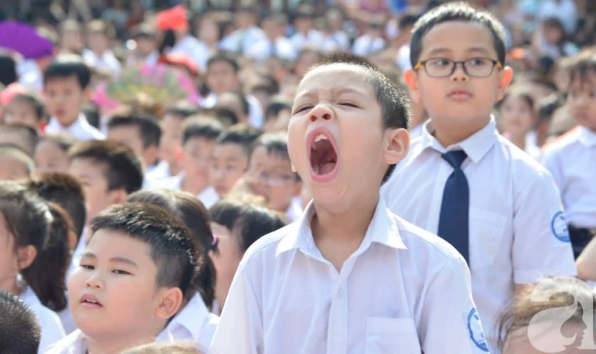 Hình ảnh tựu trường hài hước 4K
