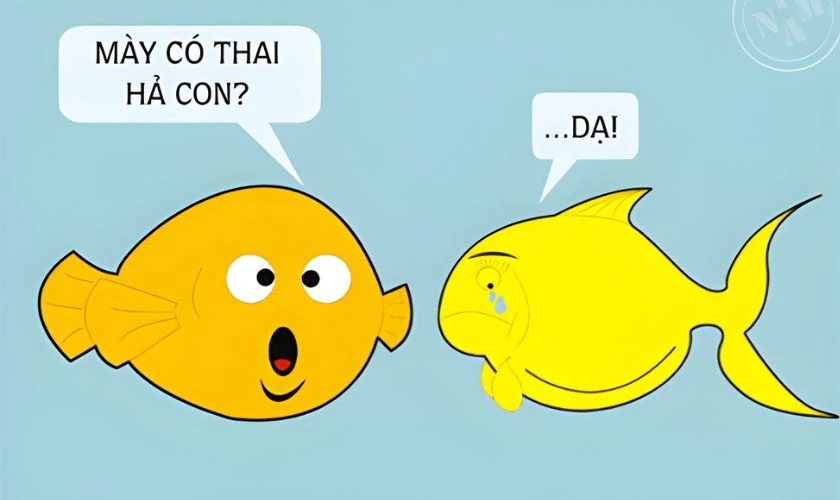 Hình ảnh vui ngày 1/4