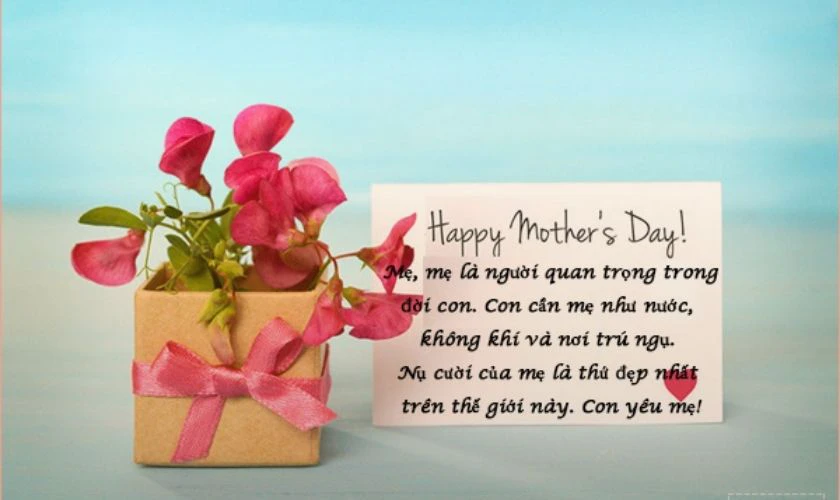 Ảnh chúc mừng Mẹ ý nghĩa, cute, dể thương nhất 2025
