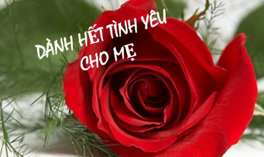 Ảnh chúc mừng Mẹ ý nghĩa, cute, dể thương nhất