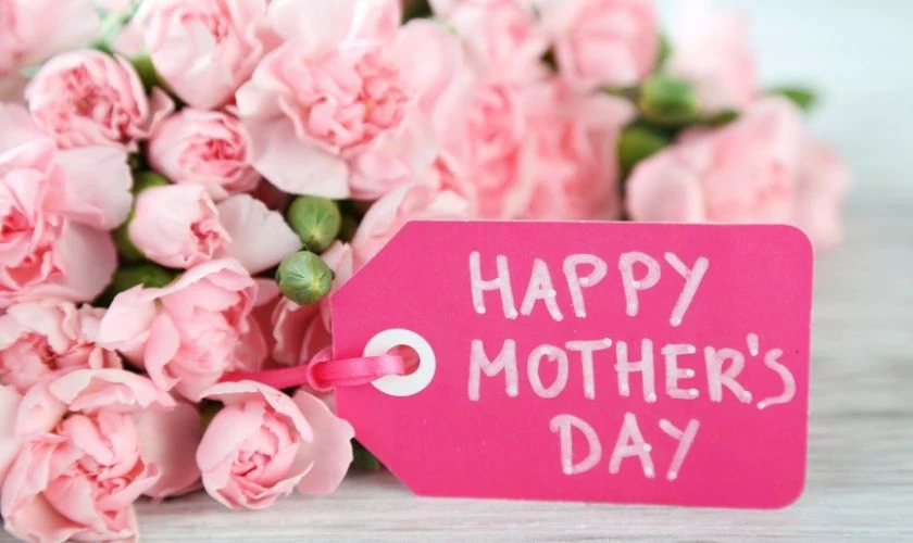 Hình ảnh ngày của Mẹ ấn tượng, vĩ đại, xúc động nhất