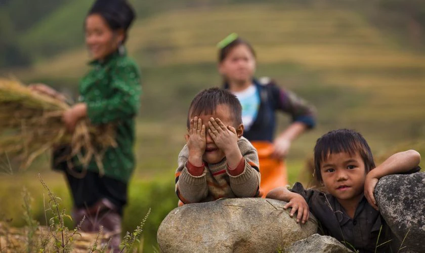 H&igrave;nh ảnh Quốc tế Thiếu nhi 2025 dễ thương nhất