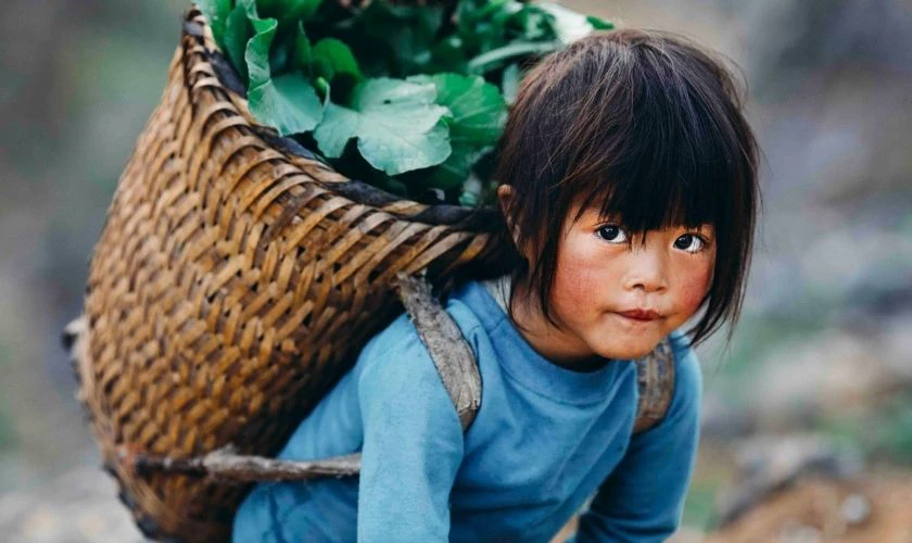 H&igrave;nh ảnh Quốc tế Thiếu nhi 2025 x&uacute;c động HD