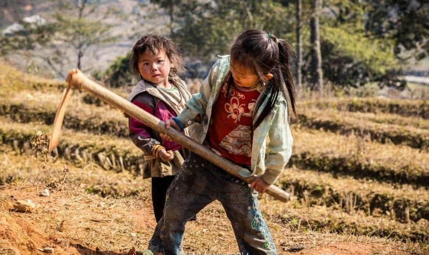 H&igrave;nh ảnh Quốc tế Thiếu nhi 2025 x&uacute;c động 8k