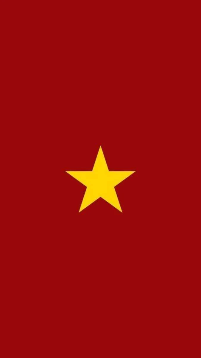 Lá cờ đỏ sao vàng rực rỡ