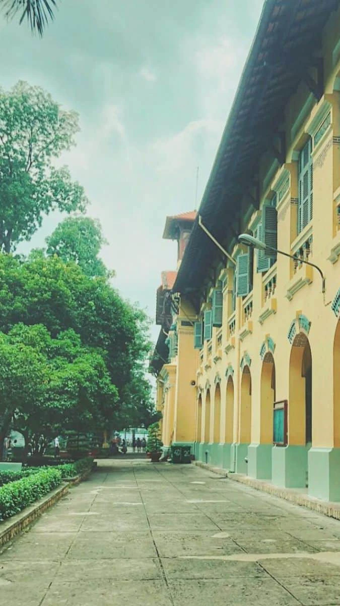 Hình nền 20/11 chủ đề mái trường