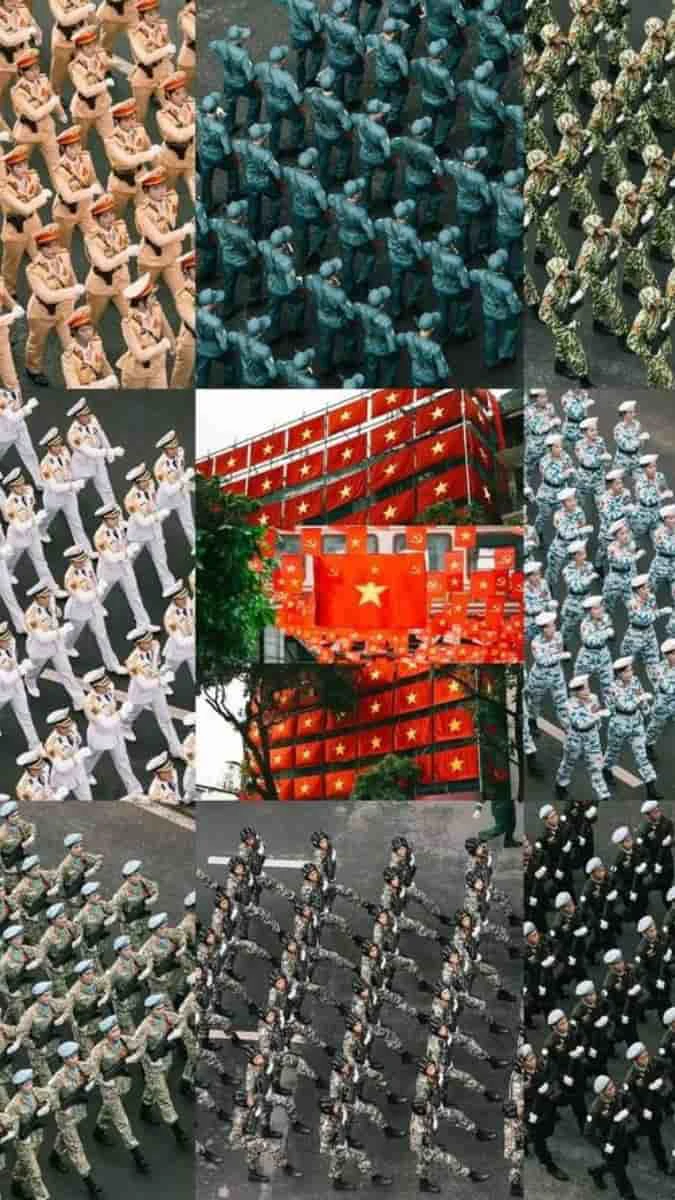 Tổ quốc Việt Nam