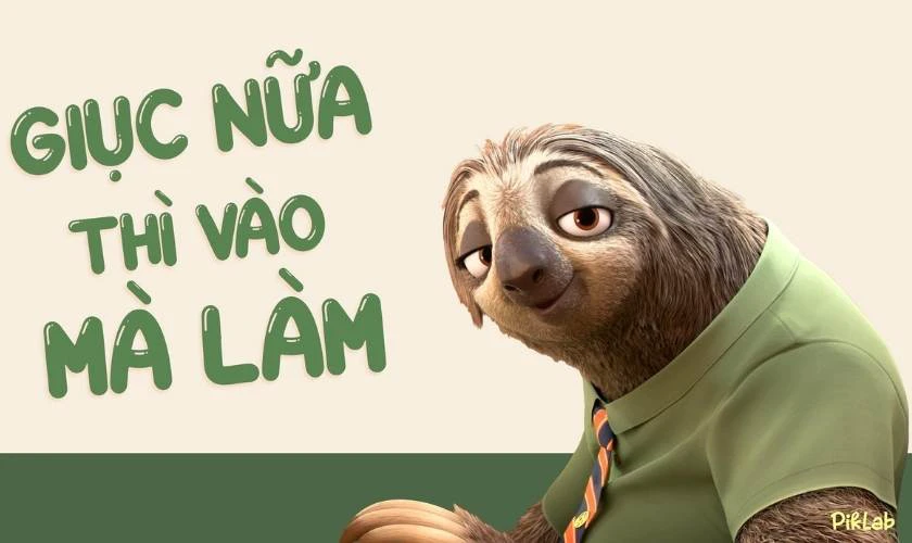 Hình nền con lười