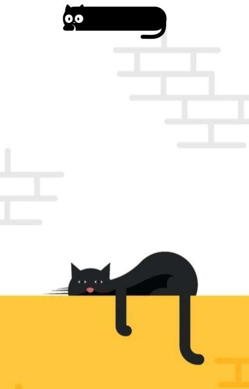 Hình nền Dynamic Island cho iPhone chủ đề mèo dễ thương 