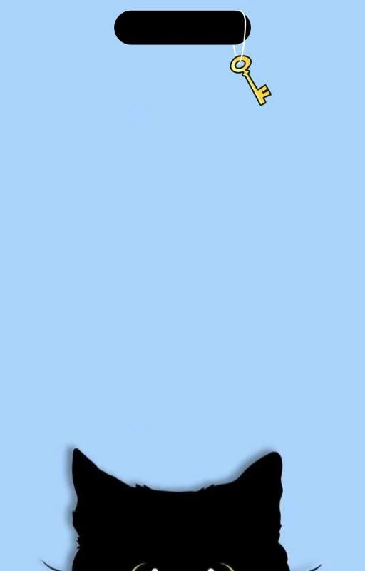 Hình nền Dynamic Island về mèo cưng cho iPhone 