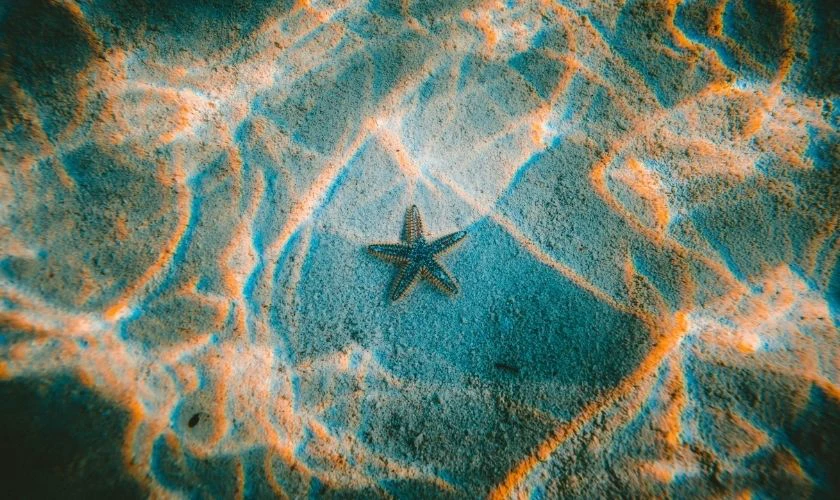 Wallpaper Full HD 1920x1080 chủ đề thiên nhiên