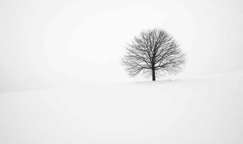 Hình nền Full HD 1920x1080 đơn sắc