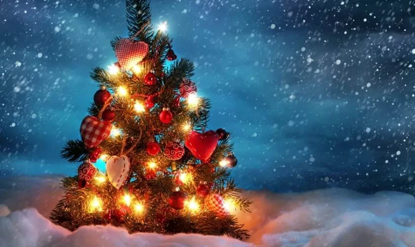 Hình nền cây thông Noel cho máy tính đẹp