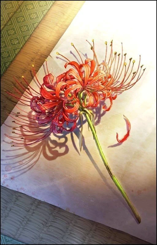 Top 100 hình nền hoa bỉ ngạn ma mị, siêu sắc nét: Lưu ngay kẻo lỡ