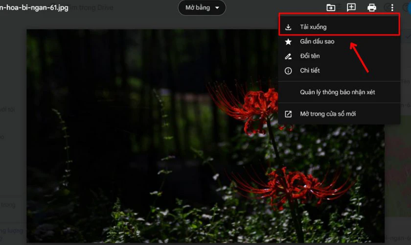 Nhấn Tải xuống hình hoa bỉ ngạn