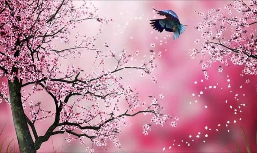 Ảnh Nền Máy Tính Vườn Hoa Nở Rộ