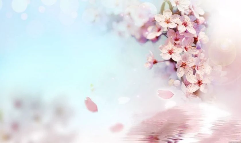 Hình Nền Hoa Đào Ngày Tết 2026 Cho Máy Tính Bảng