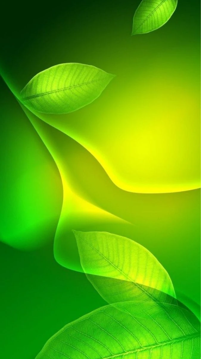 Wallpaper iOS 18.6 màu xanh lá miễn phí tải