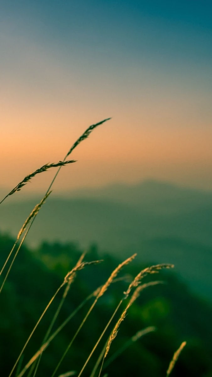 Hình nền iOS 26.2 chủ đề phong cảnh