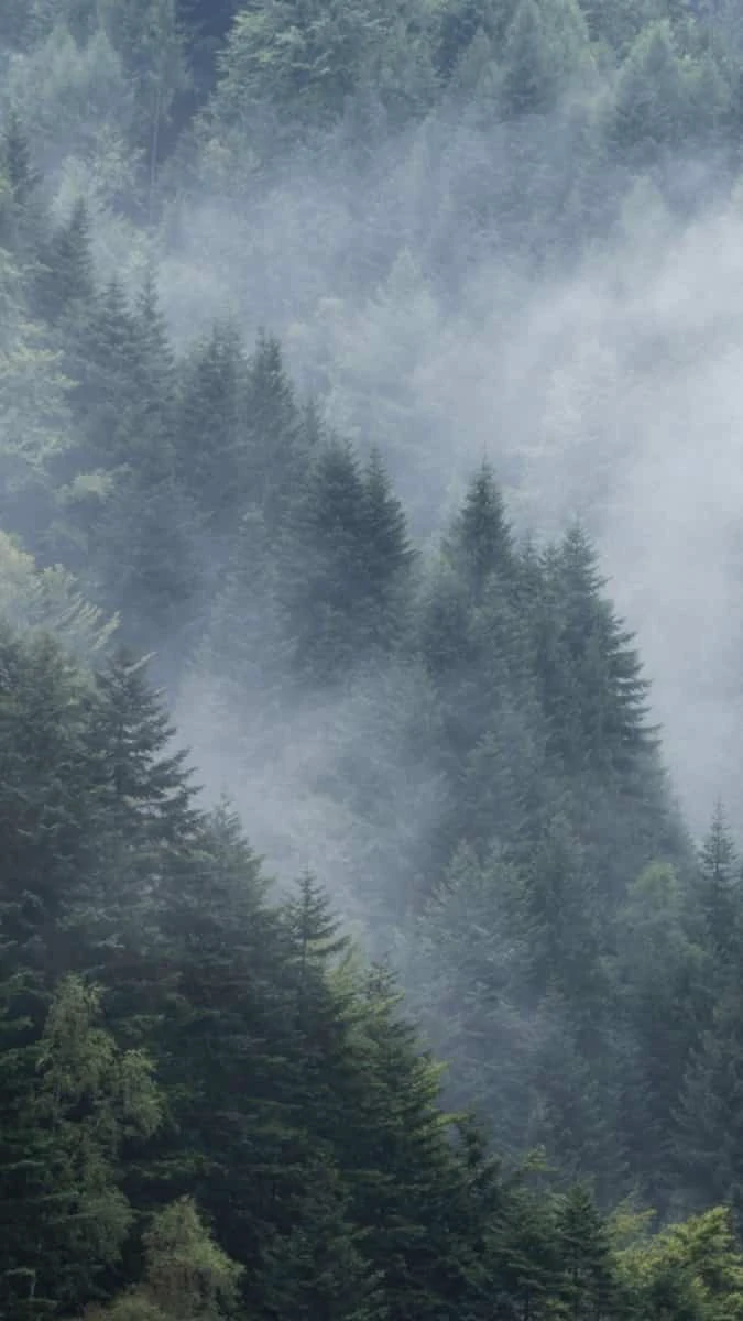 Hình nền iOS 26.2 chủ đề phong cảnh rừng núi