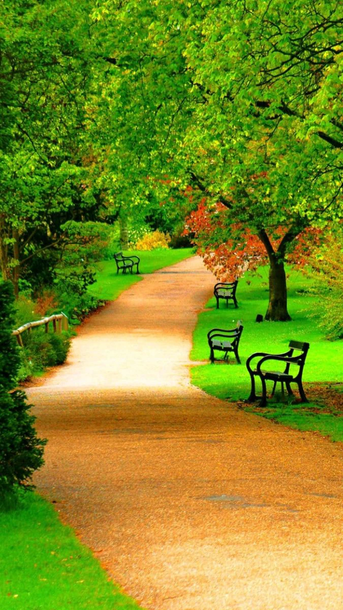 Ảnh nền iOS 26.3 chủ đề phong cảnh cho iPhone