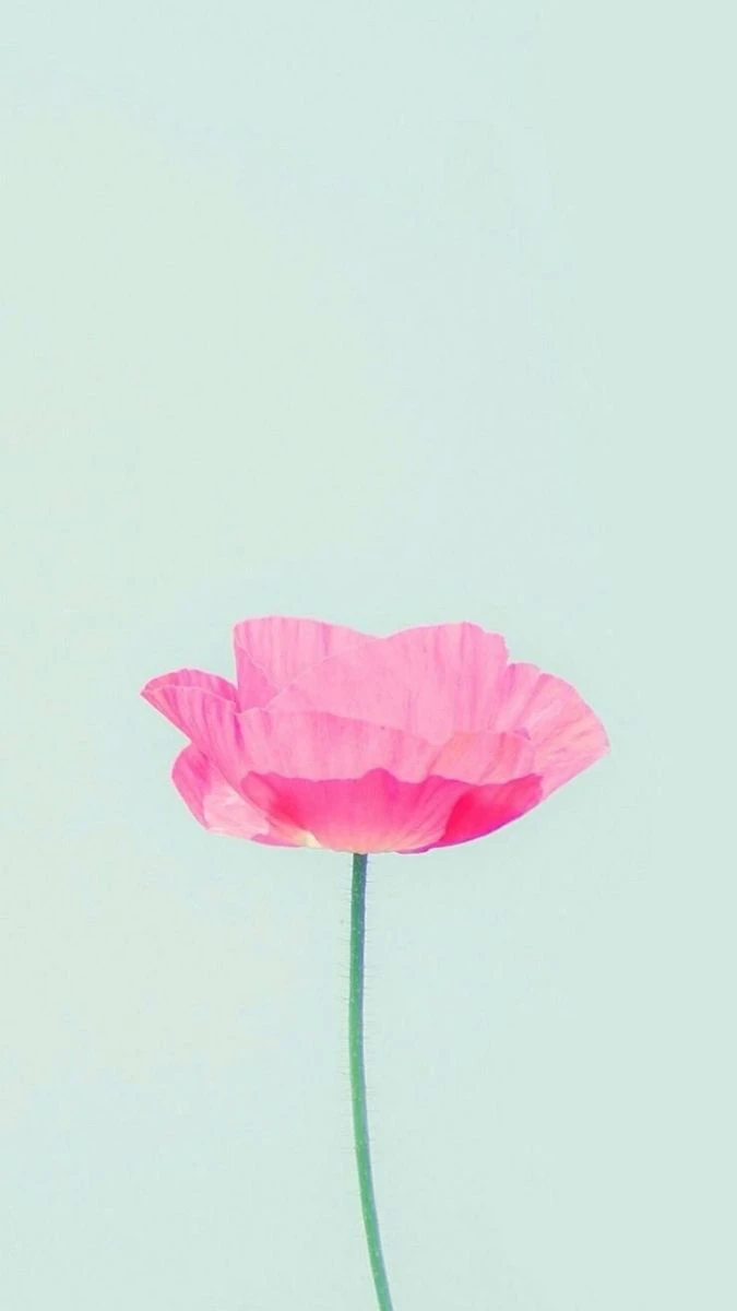 Wallpaper iOS 26.4 tối giản