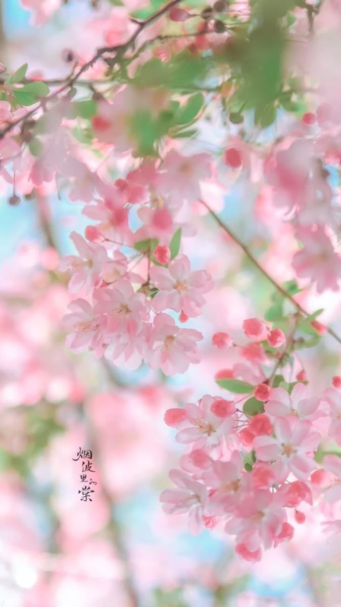 Wallpaper iOS 26.4 chủ đề phong cảnh