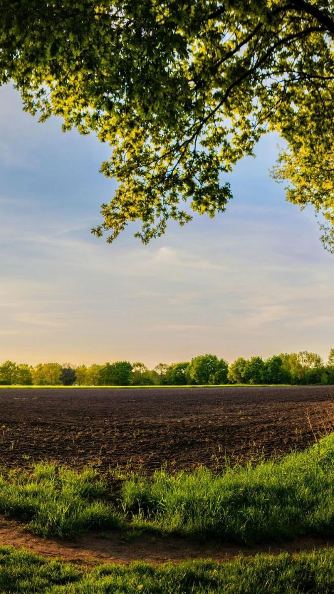 Wallpaper iPhone 17e chủ đề phong cảnh