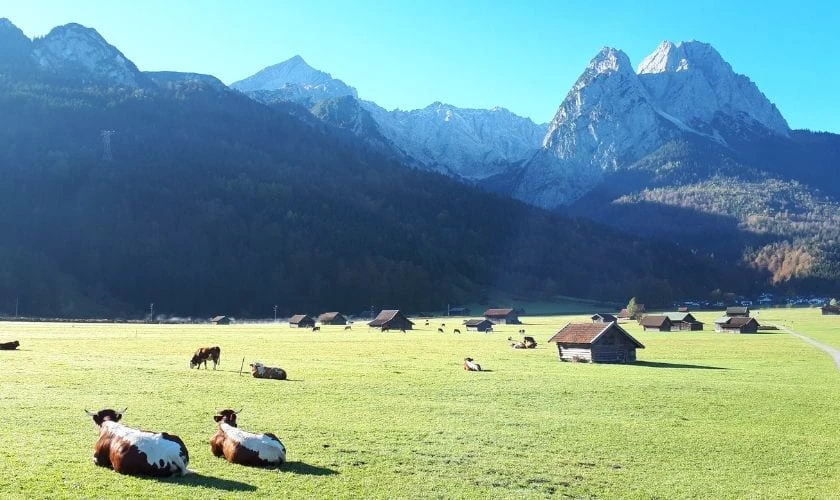 Ảnh vùng thảo nguyên mênh mông