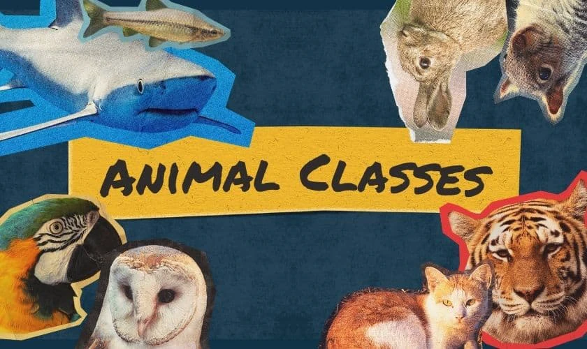 Hình nền MacBook Neo chủ đề động vật vui nhộn