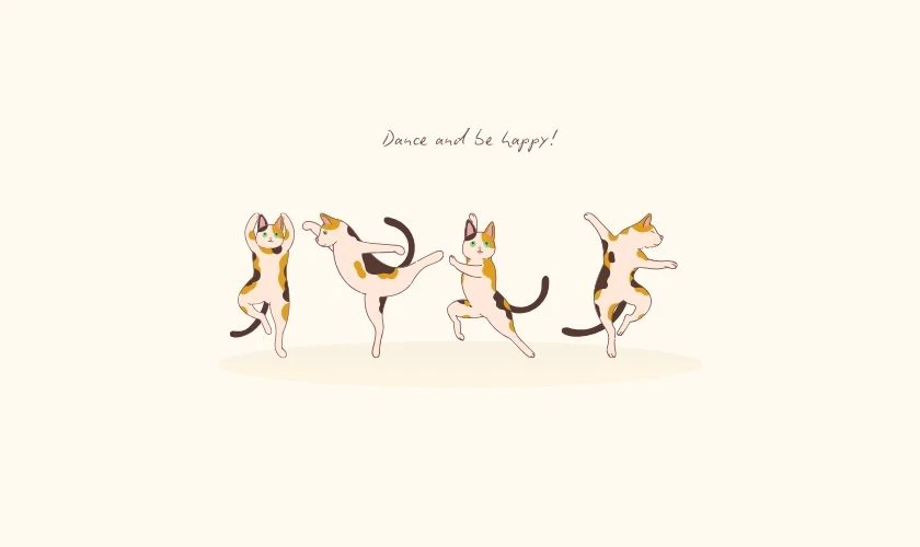 Ảnh nền mèo vui nhộn