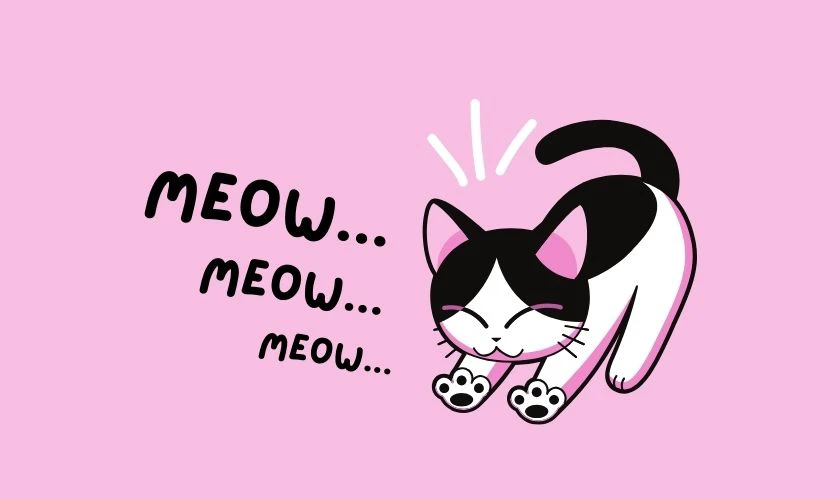 Hình nền cute cho bạn gái