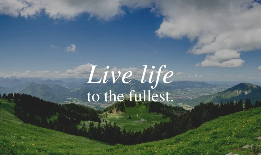 Hình nền MacBook Neo chủ đề thiên nhiên