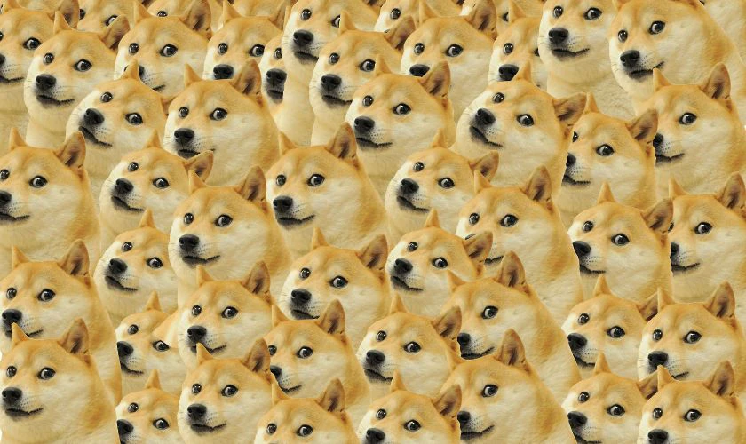 Meme Shiba Dog