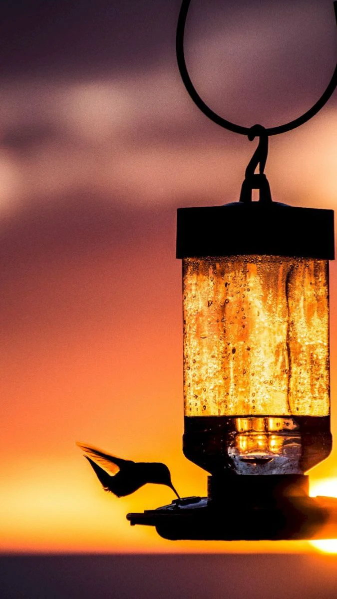 Hình nền mệnh Thổ đơn giản, tối giản