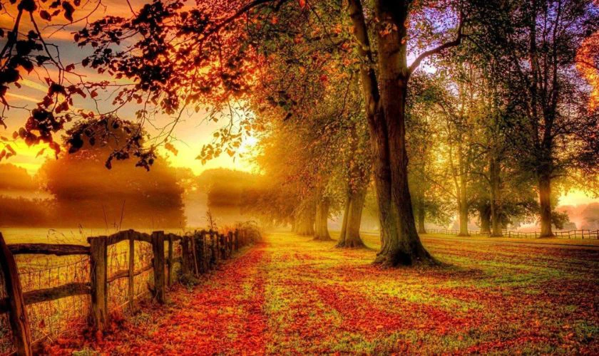 Ảnh nền mệnh Thổ cho máy tính Full HD