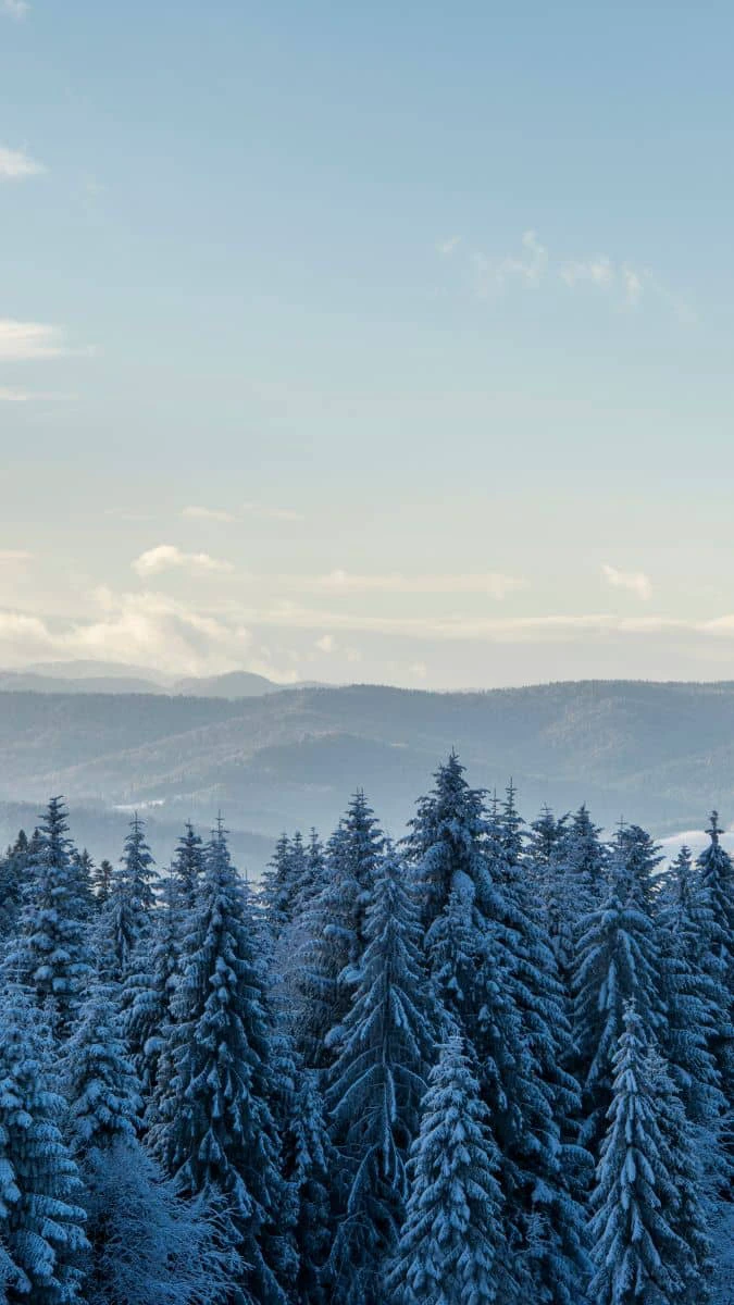 Hình nền Samsung Galaxy A37 thiên nhiên