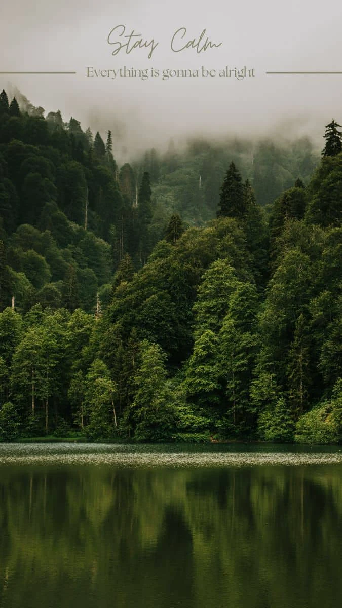 Ảnh phong cảnh núi rừng