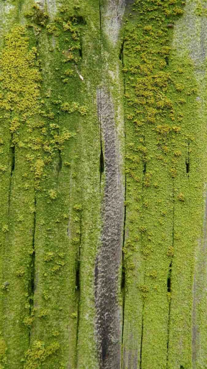 Ảnh chủ đề thiên nhiên đẹp mắt