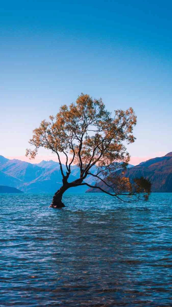 Ảnh chủ đề phong cảnh thiên nhiên đẹp mắt tươi sáng