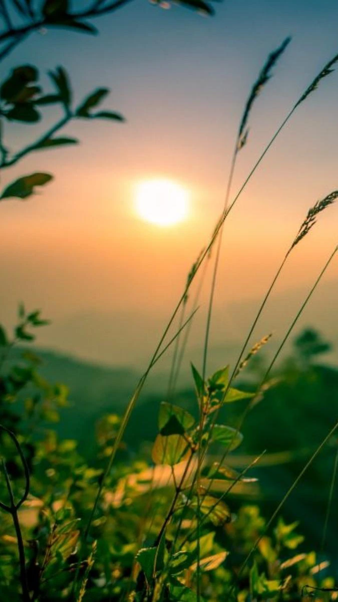 Ảnh chủ đề thiên nhiên đẹp mắt siêu nét