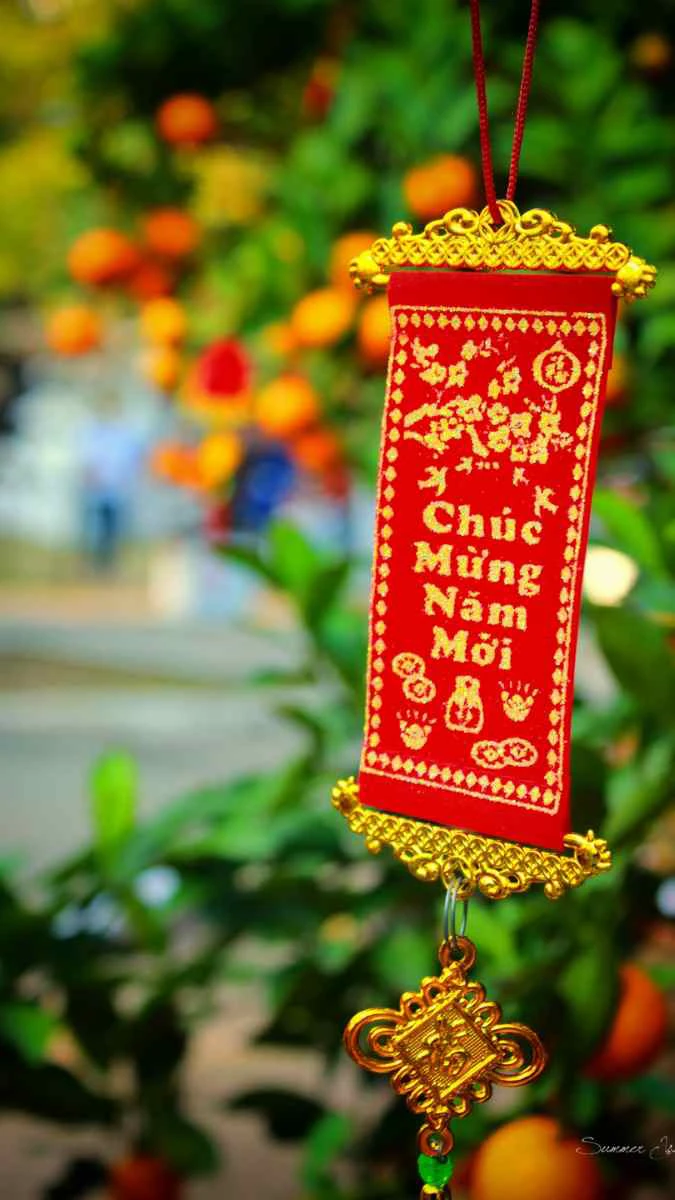 Hình nền Tết 2026 chủ đề hoa lá, cây cối đầy sắc màu