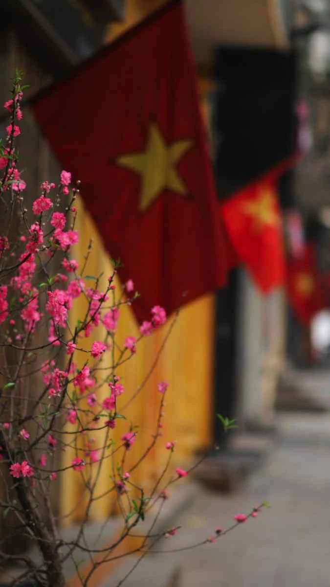 Hình nền điện thoại Tết 2026 chủ đề phong cảnh rực sắc xuân