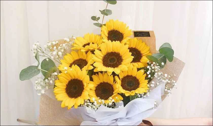 Hoa hướng dương Ngày Quốc tế Đàn ông