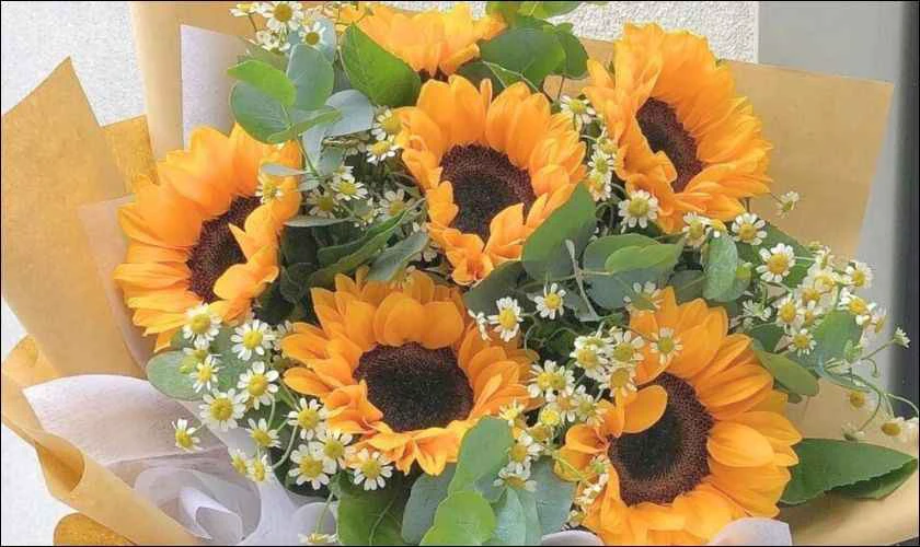 Hoa hướng dương tặng người yêu