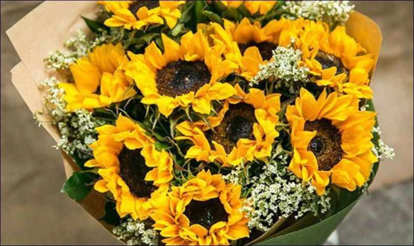 Hoa hướng dương dể thương